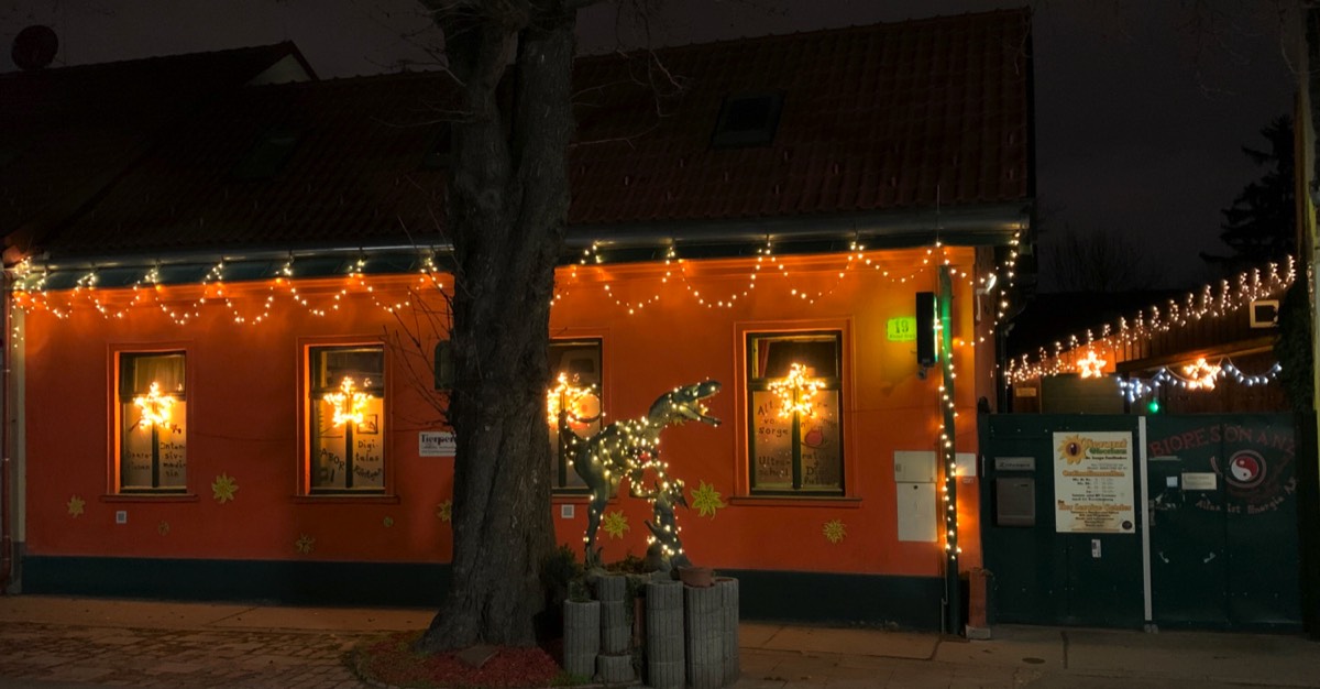 Tierarzt Oberlaa - Wien - Weihnachten